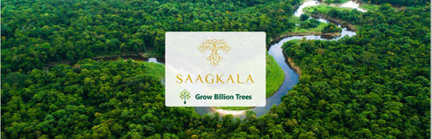 Saagkala’s Green Gift: Agroforest Plantations for Clients