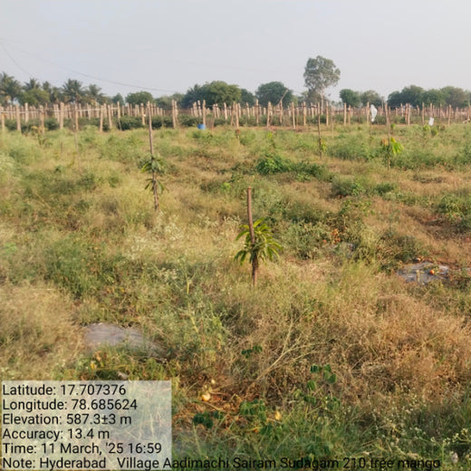 Evergreen Memories: Sairam Sodagum’s Loving Tribute to His Parents – Planting