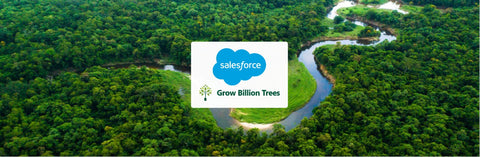 Building Bonds with Nature: Salesforce India’s Urban Forest Engagement