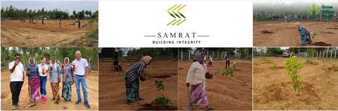 From Iron to Green: Samrat Irons' Eco-Conscious Gifting Initiative in Agroforestry