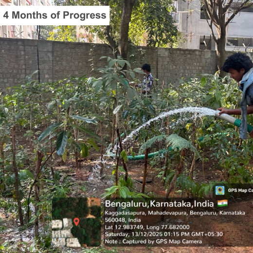 Branches of Love: Honoring Parents with Every Sapling – 1 year