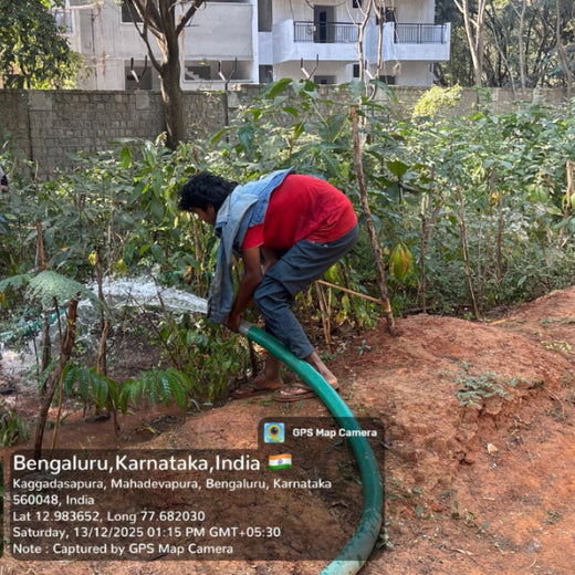 Branches of Love: Honoring Parents with Every Sapling – 1 year