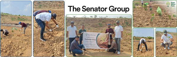 Urban Forests for a Sustainable Tomorrow: Senator Office Furniture India’s CSR for People and Planet