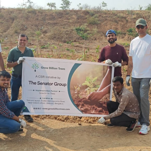 Sustainable Future: Senator Office Furniture India’s CSR – Planting