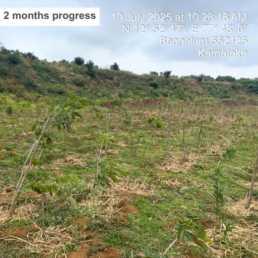 Sustainable Future: Senator Office Furniture India’s CSR – 6 months
