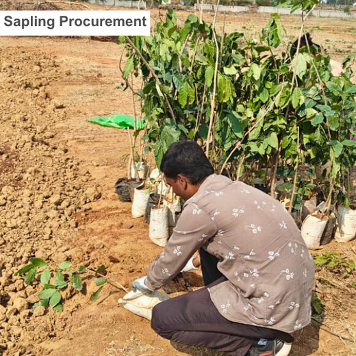 Sustainable Future: Senator Office Furniture India’s CSR – Planting