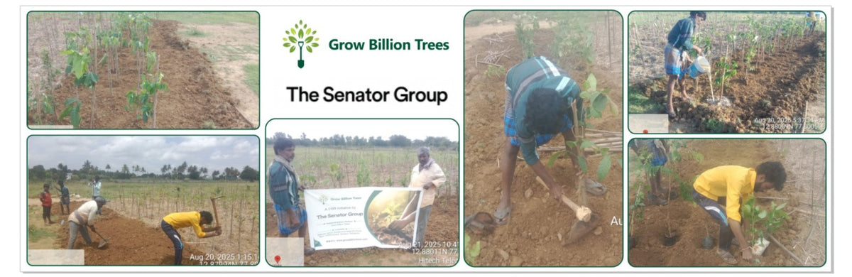 Greener Tomorrow: Senator Office Furniture India’s CSR