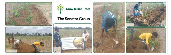 Greener Tomorrow: Senator Office Furniture India’s CSR