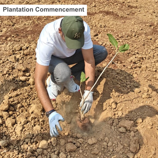 Sustainable Future: Senator Office Furniture India’s CSR – Planting