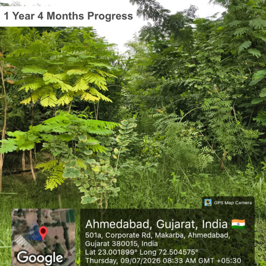 One Machine = One Tree Growing a Greener Tomorrow with Sharp Engineers – 2 years