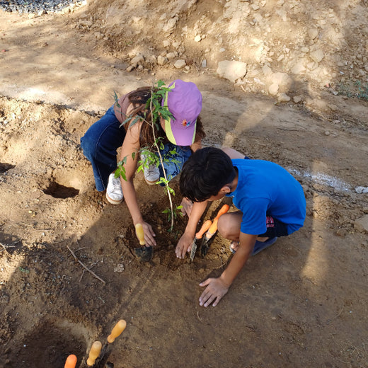 Buds of Change: A Tribute to Earth by Shweta and Friends – Planting