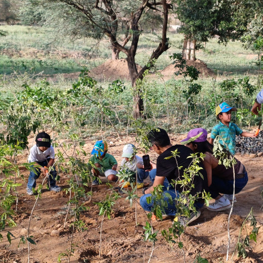 Buds of Change: A Tribute to Earth by Shweta and Friends – Planting
