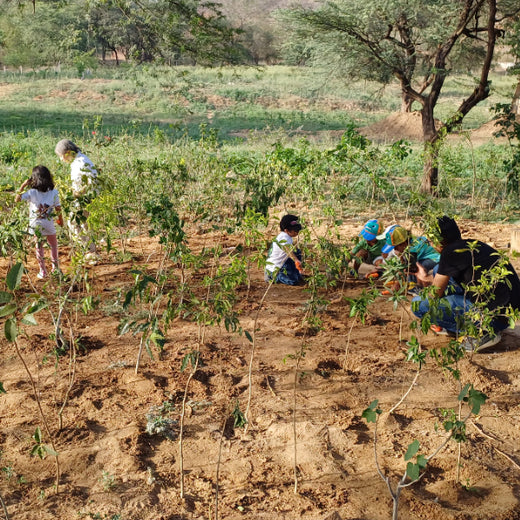 Buds of Change: A Tribute to Earth by Shweta and Friends – Planting