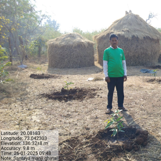 Silox India Agroforestry Initiative: Cultivating Sustainability and Biodiversity – 6 months