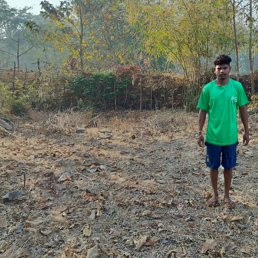 Silox India Agroforestry Initiative: Cultivating Sustainability and Biodiversity – Planting