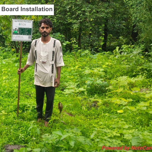 Silox India Agroforestry Initiative: Cultivating Sustainability and Biodiversity – 2 years