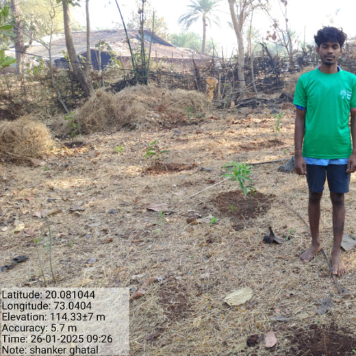 Silox India Agroforestry Initiative: Cultivating Sustainability and Biodiversity – 6 months