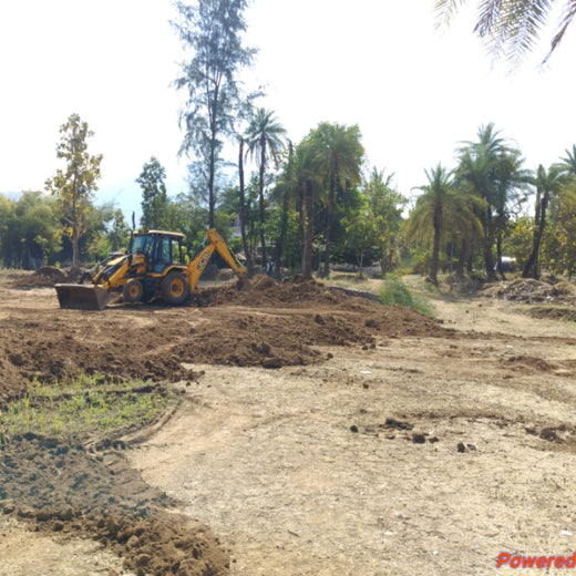 Silox India Agroforestry Initiative: Cultivating Sustainability and Biodiversity – Planting