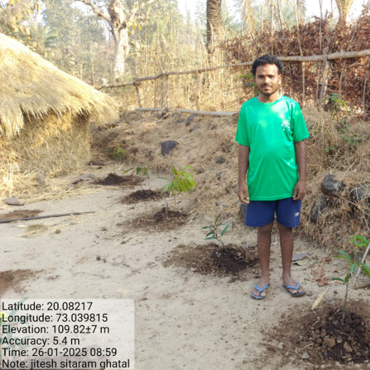 Silox India Agroforestry Initiative: Cultivating Sustainability and Biodiversity – 6 months