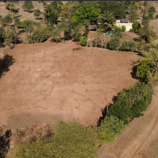 Silox India Agroforestry Initiative: Cultivating Sustainability and Biodiversity – Planting