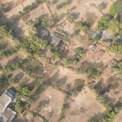 Silox India Agroforestry Initiative: Cultivating Sustainability and Biodiversity – Planting