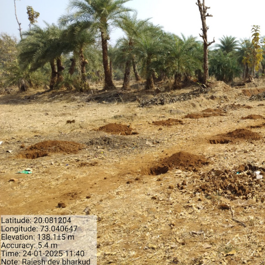 Silox India Agroforestry Initiative: Cultivating Sustainability and Biodiversity – Planting
