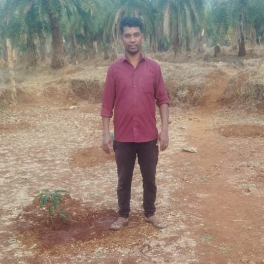 Silox India Agroforestry Initiative: Cultivating Sustainability and Biodiversity – 6 months