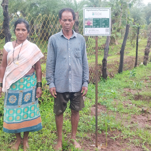 Silox India Agroforestry Initiative: Cultivating Sustainability and Biodiversity – 2 years