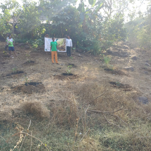 Silox India Agroforestry Initiative: Cultivating Sustainability and Biodiversity – Planting