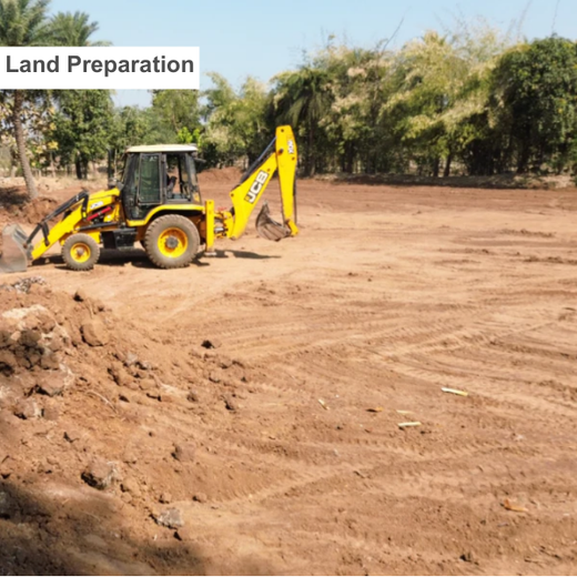 Silox India Agroforestry Initiative: Cultivating Sustainability and Biodiversity – Planting