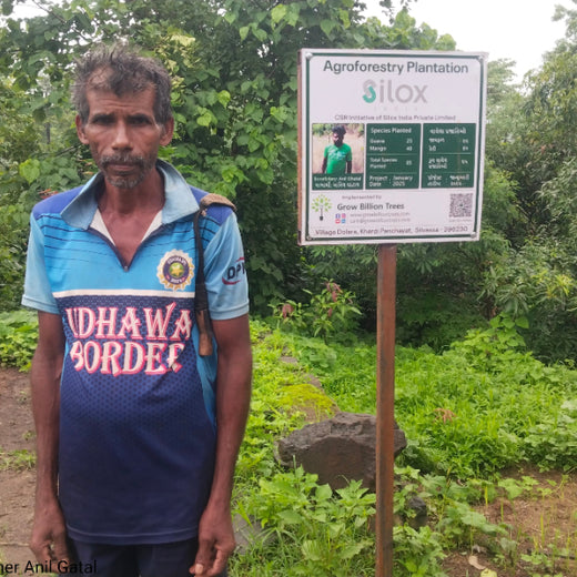 Silox India Agroforestry Initiative: Cultivating Sustainability and Biodiversity – 2 years