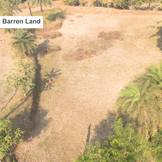 Silox India Agroforestry Initiative: Cultivating Sustainability and Biodiversity – Planting