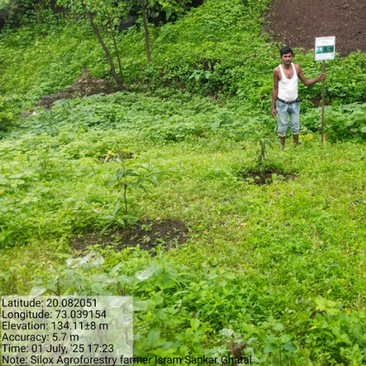 Silox India Agroforestry Initiative: Cultivating Sustainability and Biodiversity – 2 years