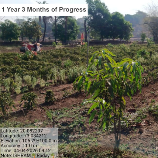 Silox India Agroforestry Initiative: Cultivating Sustainability and Biodiversity – 3 years
