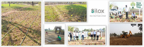 Dulara Village Blossoms: Silox India’s Miyawaki Green Legacy