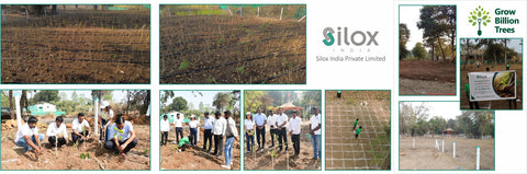 Silox India Plants Miyawaki Forest at Kherdi Devasthanam for a Greener Future