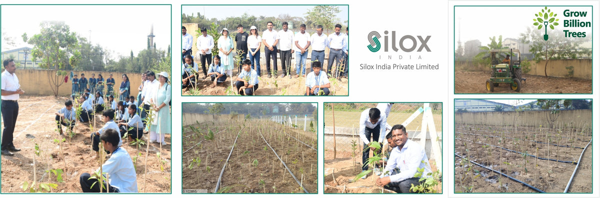 Silox India Miyawaki Tree Plantation School Initiative: Growing Green Futures