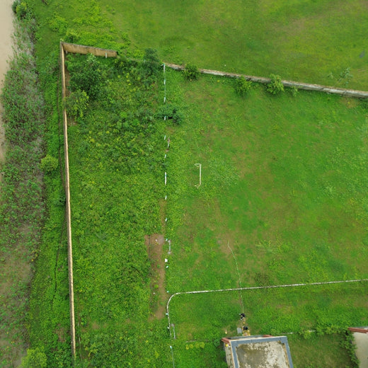 Silox India Miyawaki Tree Plantation School Initiative: Growing Green Futures – 2 years