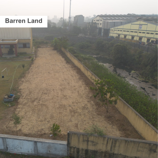 Silox India Miyawaki Tree Plantation School Initiative: Growing Green Futures – Planting