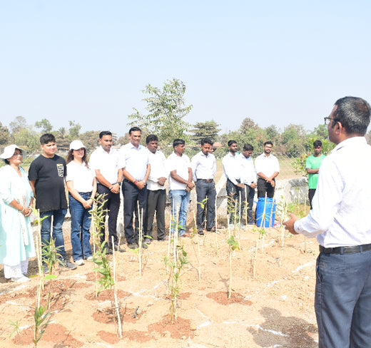Silox India Miyawaki Tree Plantation School Initiative: Growing Green Futures – 6 months