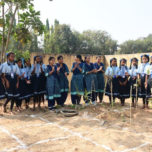 Silox India Miyawaki Tree Plantation School Initiative: Growing Green Futures – 6 months