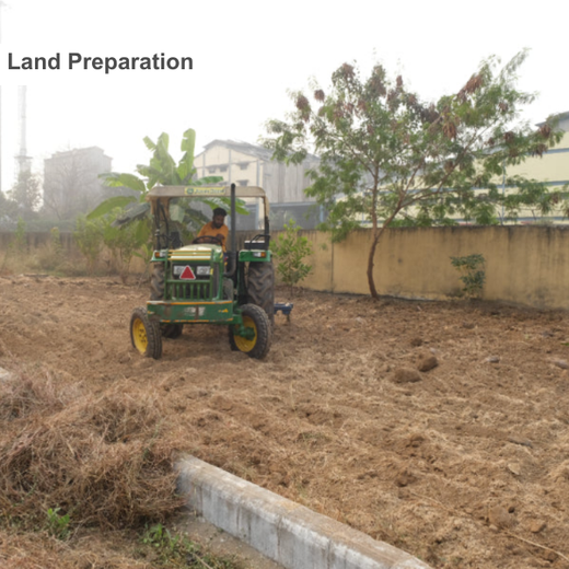 Silox India Miyawaki Tree Plantation School Initiative: Growing Green Futures – Planting