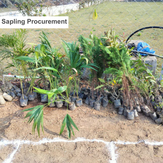 Silox India Miyawaki Tree Plantation School Initiative: Growing Green Futures – Planting