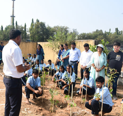 Silox India Miyawaki Tree Plantation School Initiative: Growing Green Futures – 6 months