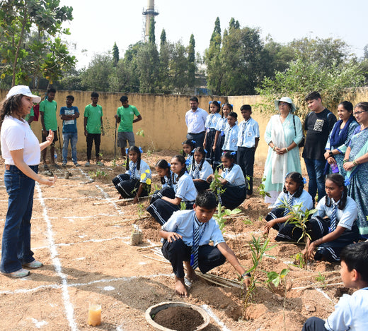 Silox India Miyawaki Tree Plantation School Initiative: Growing Green Futures – 6 months