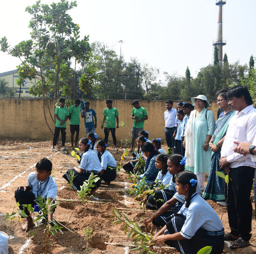 Silox India Miyawaki Tree Plantation School Initiative: Growing Green Futures – 6 months