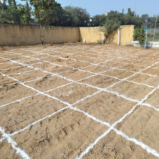 Silox India Miyawaki Tree Plantation School Initiative: Growing Green Futures – Planting