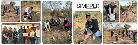 SIMPPLR's Green Commitment: Empowering Employees to Grow Urban Forests