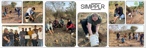 SIMPPLR's Green Commitment: Empowering Employees to Grow Urban Forests