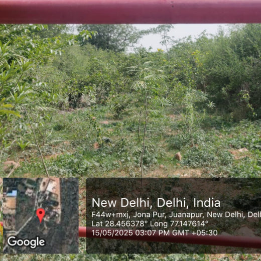 SIMPPLR's Green Commitment: Empowering Employees to Grow Urban Forests – 1 year